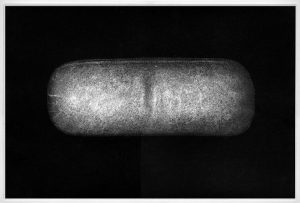 Das letzte seiner Art, 25,4 x 37,9 cm, Heliogravüre