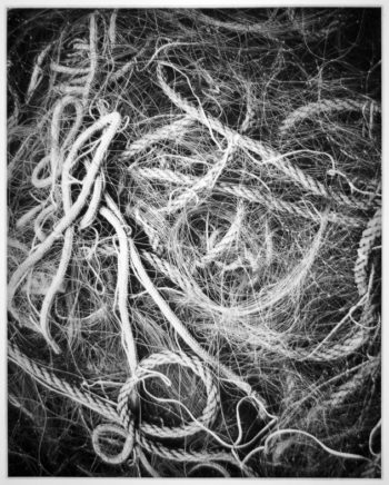 Networks